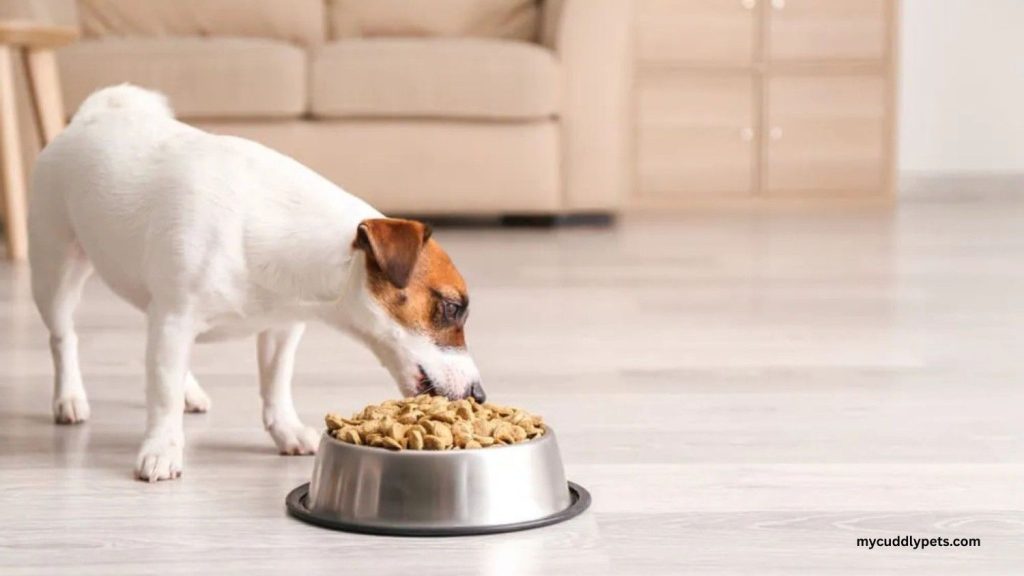 Blue Buffalo Wilderness Review