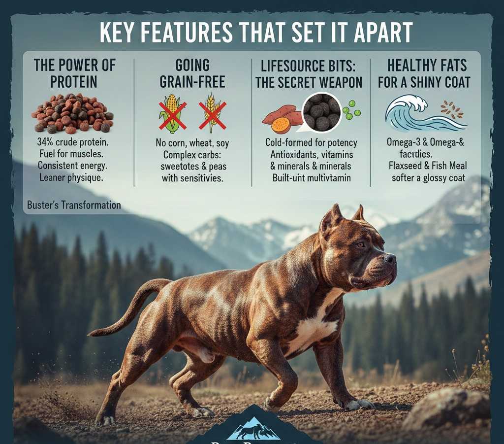 Blue Buffalo Wilderness Review