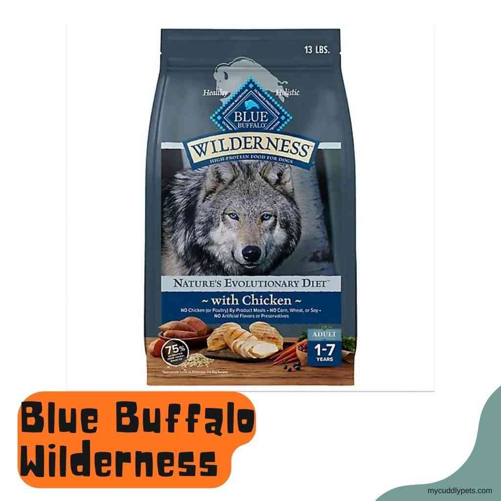 Blue Buffalo Wilderness Review
