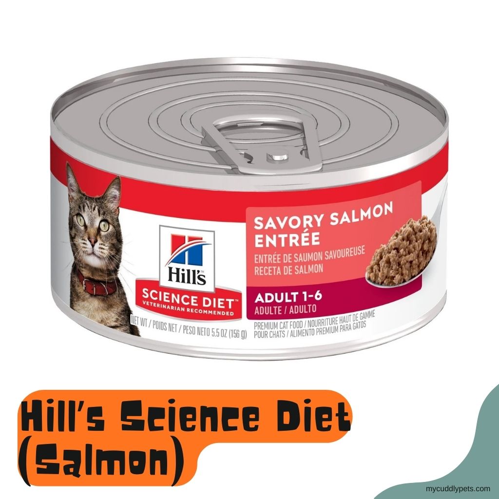 Hill’s Science Diet Sensitive Stomach & Skin (Salmon)