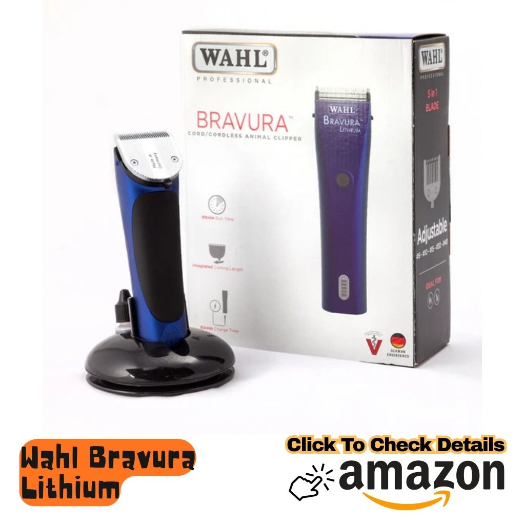 Wahl Bravura Lithium