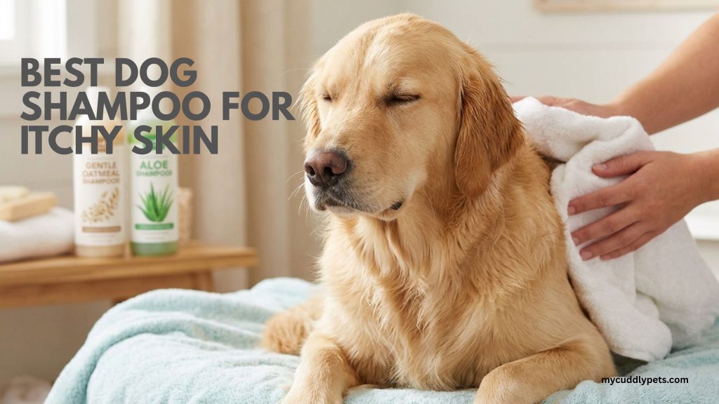 The Best Dog Shampoo for Itchy Skin