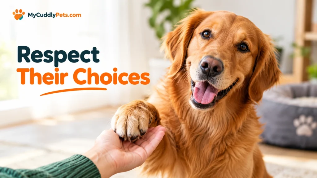 Dog Consent