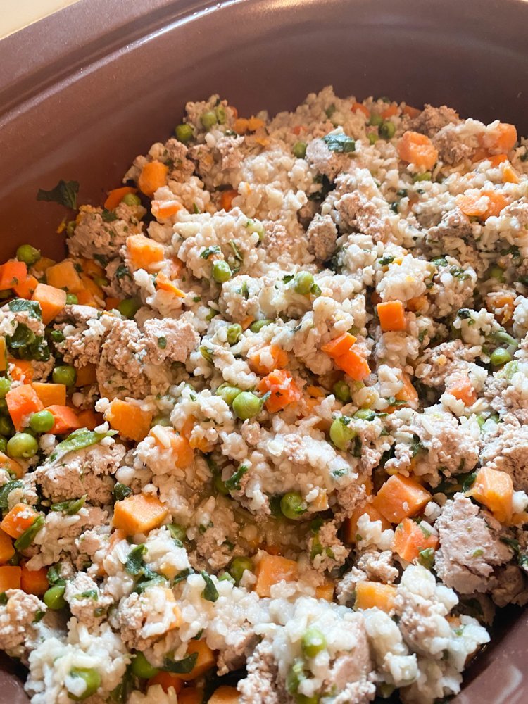 Slow Cooker Dog Food Recipes