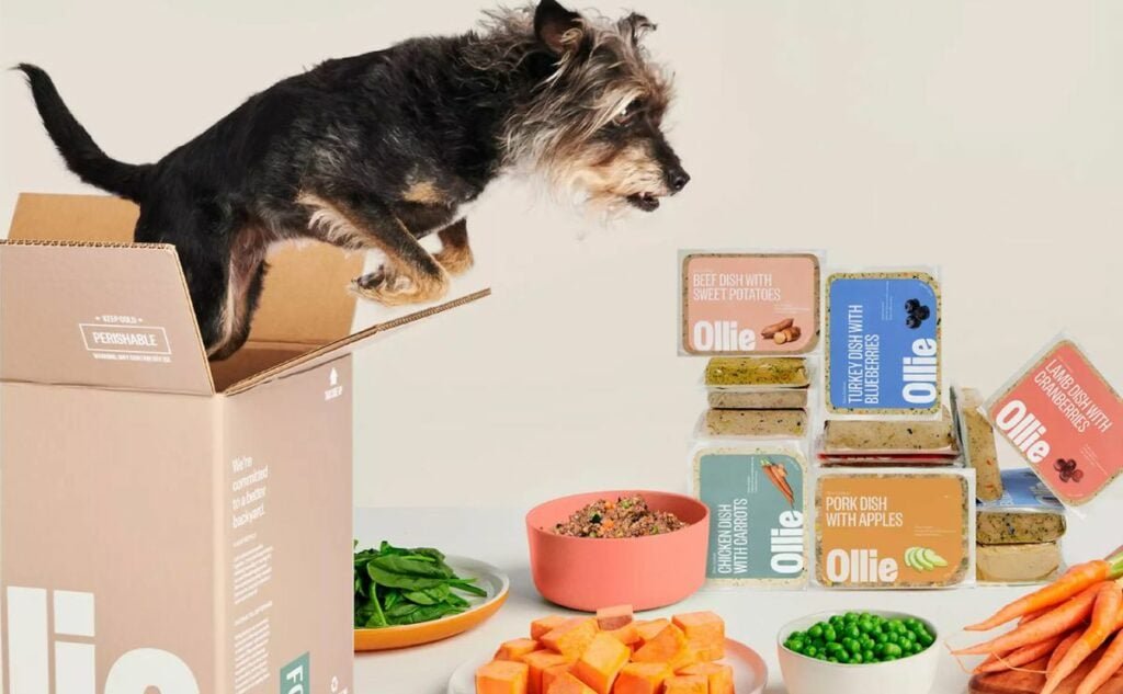 Ollie Dog Food Review