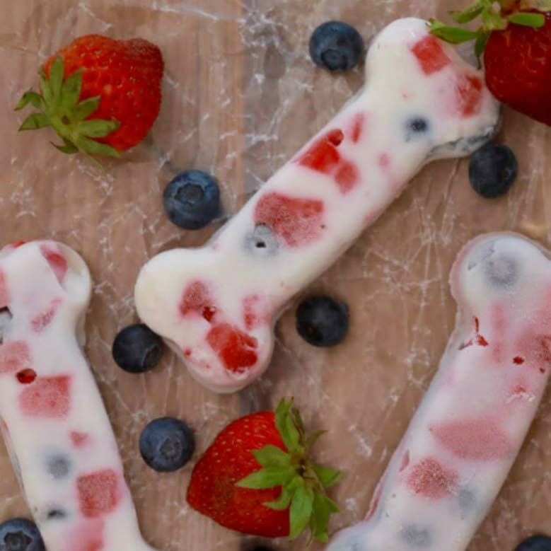 Frozen Dog Treats for Summer