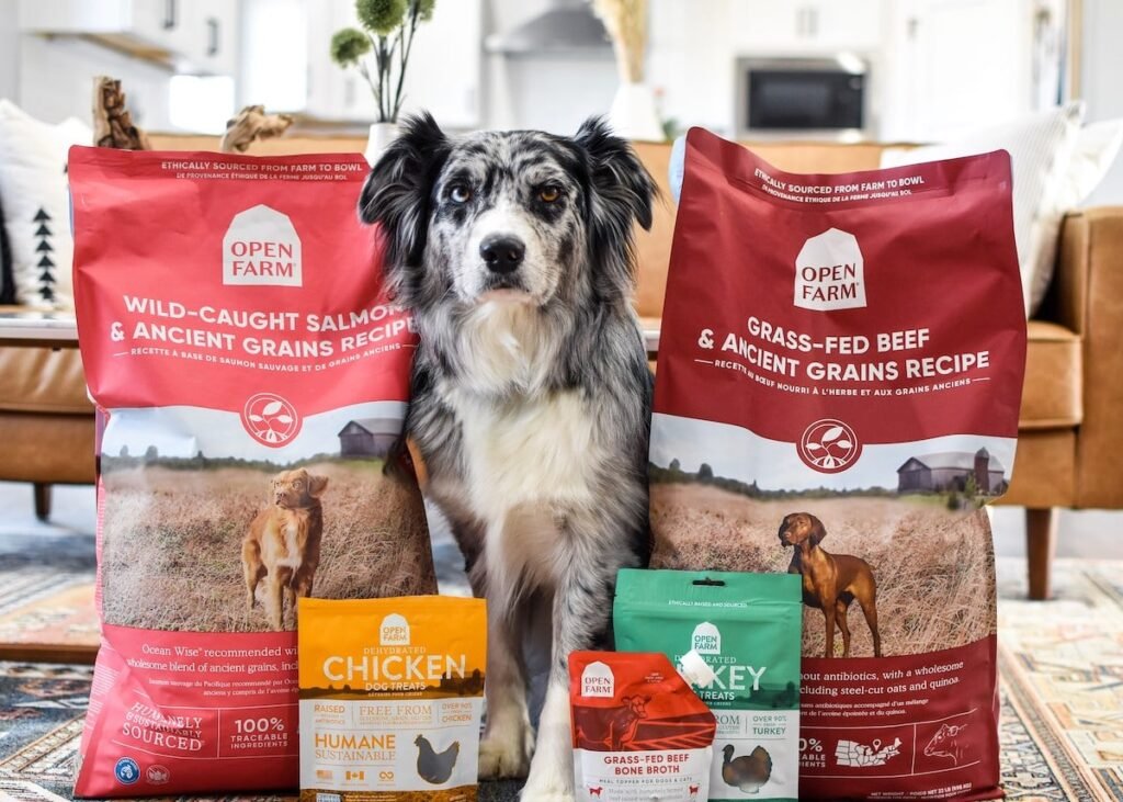 Open Farm Dog Food Review