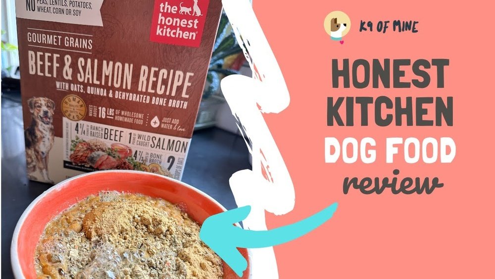 Honest Kitchen Review